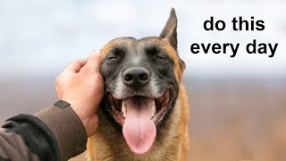 12 Scientific Ways To Get Your Dog To Love You The Most [upl. by Thomasin]