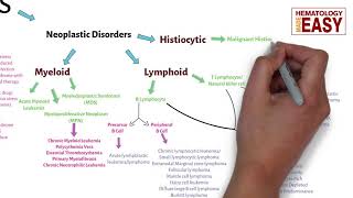 WBC Disorders ClassificationLeukocytosisLeukopeniaLeukemiaLymphoma [upl. by Alitha]