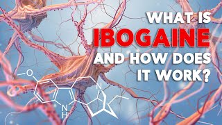 What is Ibogaine and how does it work [upl. by Gniw978]