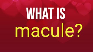 What is macule [upl. by Thorrlow209]