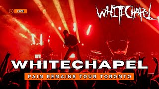 Whitechapel  Possession  Pain Remains Tour Live In Toronto 2024 [upl. by Zweig216]