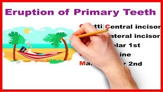 Eruption of Primary teeth  Made easy [upl. by Trefor]