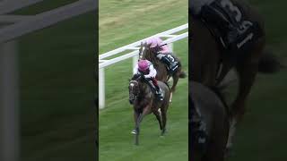 Enable  the Queen of Ascot horseracing kinggeorge [upl. by Nahtanod]