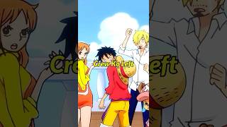 Which Straw Hats Members Had Left The Crew  onepiece anime luffy onepiecetheoryhindi [upl. by Rramo989]