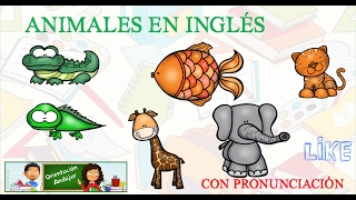 Animales en ingles con pronunciación Aprendemos el nombre de muchos animales en inglés [upl. by Lilian]