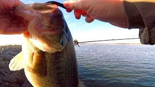 FAT Braidwood Bass Shore Fishing and Failing [upl. by Adnert]