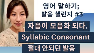 syllabic consonants 자음을 모음처럼 발음하라고 이 수상한 발음을 정복하라 mountains little [upl. by Naesar]