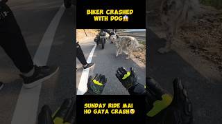 BIKER CRASHED WITH DOG😱ACCIDENT HO GAYA😢 modified rr310 rider zx6r kawasaki monsterenergy [upl. by Catlin148]