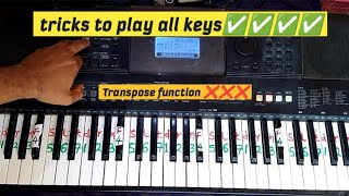 TRICKS ‼️TO PLAY PRAISE amp WORSHIP IN ANY KEY WITHOUT TRANSPOSE [upl. by Thorley]