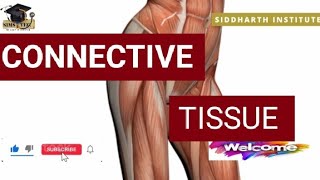 Connective Tissue Information ℹ️💫🧲 [upl. by Shandra]