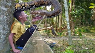 Harvesting Kumquats Goes to the market sell  How to Make Donuts  Animal Care [upl. by Abbate]