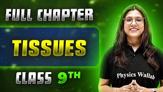 Tissues FULL CHAPTER  Class 9th Science  Chapter 6  Neev [upl. by Gati]