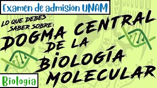 El Dogma Central de la Biología Molecular  Biología UNAM [upl. by Layol]