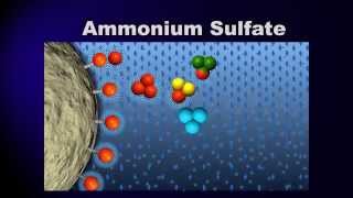 Bioprocessing Part 3 Purification [upl. by Andriana]