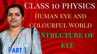 human eye and colourful worldclass 10 cbse physicsintroduction part 1 [upl. by Diao]