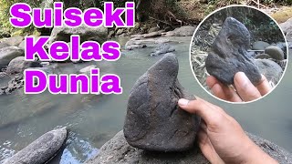 Menemukan Batu Suiseki Kelas Dunia Di Sungai Ini [upl. by Yelich898]