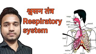 श्वसन तंत्र  respiratory system in hindi respiratorysystem Biology Shivsir Science [upl. by Golightly]