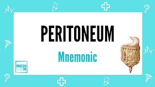 Peritoneum  Retroperitoneal organs  Mnemonic  Homoeopathy  Anatomy  Medi Trix [upl. by Beau]