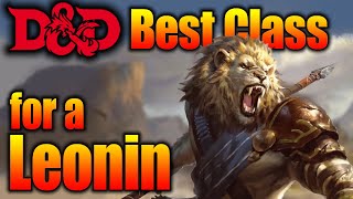 Best DampD Class for Playing a Leonin [upl. by Angadreme]