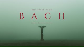 Best Organ Works of Bach  Classical Music Gems [upl. by Anaitsirhc433]