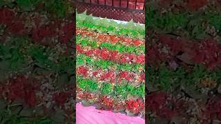 shorts paan viralvideo food [upl. by Amapuna832]