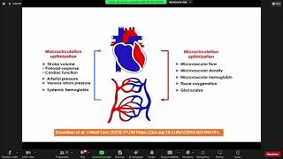 MICROCIRCULACIÓN Y PERFUSIÓN TISULAR [upl. by Atimed]