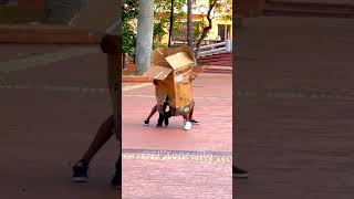 La caja caída del cielo 🤣📦😂  Unexpected BOX falls from the SKY 😂📦 HILARIOUS trending humor [upl. by Nani565]