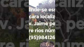 Chácara a venda 95984126680 Tem vídeo dessa chácara aqui no canal [upl. by Eiznik911]