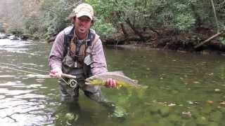 Fly Fishing for Large Brown Trout in the Smokies in the Fall [upl. by Idnahr]