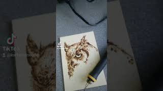 pyrography woodart woodburnerpirografia owl sowa [upl. by Evey]