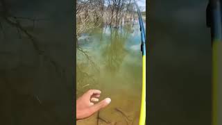 Fishing for large predatory fish on the edge of the reservoir jonespetualang [upl. by Finbur]