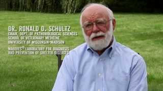 Ronald Schultz MD Immunization vs Vaccination  class [upl. by Woodward]