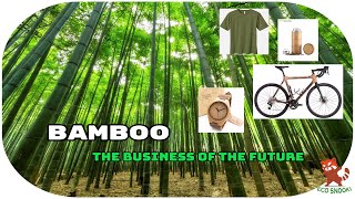 BAMBOO  The high profit making industry of FUTURE [upl. by Vachell]