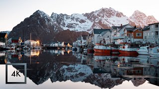 Harbor Sounds for Sleep Henningsvær Village Sunrise Lofoten Norway 3 Hours [upl. by Jody]