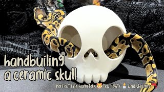 handbuilding from sphere to skull 💀 simple ceramic project  TikTok compilation [upl. by Illa]