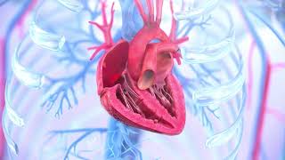 Tricuspid regurgitation symptoms causes and treatment  Animation [upl. by Enuj]