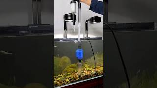 Easy way to clean your Aquarium water💦  Do Smart👍 work  Aquarium Vacuum Gravel Cleaner  fish [upl. by Lette]