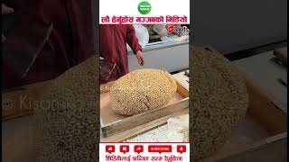 Bhuja ko laddu agriculture machinery amazingfacts [upl. by Atiuqaj]