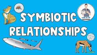 Symbiotic Relationships [upl. by Senior792]