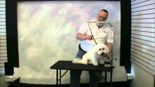 Groomers Helper  Quick Start Training [upl. by Joost]