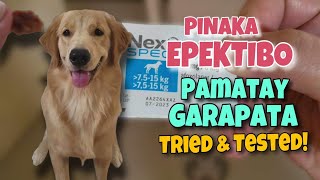 PINAKA MABISANG PAMATAY GARAPATA • Anti Tick Fleas Mites at Heartworm Prevention  Harley amp Euna [upl. by Rosalynd474]