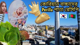 জিয়ুর ছোট বেলা  কোরিয়ান খাবার Perilla পাতা ও চোলমিয়ন রেসিপি 깻잎 쫄면 কিভাবে খাবেন [upl. by Root]