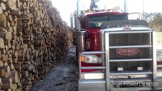 Long Day in a Logging Truck to Beat the Big Winter Rain [upl. by Adali]