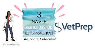 3 NAVLE Practice Questions HOW TO MASTER THE NAVLETips and Tricks [upl. by Piegari]