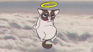 RIP Grumpy Cat [upl. by Labotsirc]