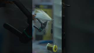 Baja Saltwater Streamer Fly Tying Session 6  Gamechanger [upl. by Drooff]