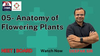 CLASS 11 BOTANY ANATOMY OF FLOWERING PLANTS I 11 NCERT I NEET BASED ANATOMY OF FLOWERING PLANTS [upl. by Vescuso]