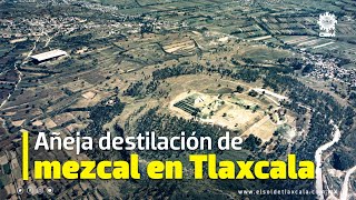 Añeja destilación de mezcal en Tlaxcala [upl. by Rhody]