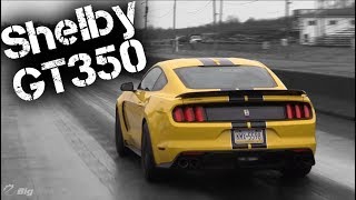 Shelby GT350 Real World Quarter Mile Passes [upl. by Holsworth]