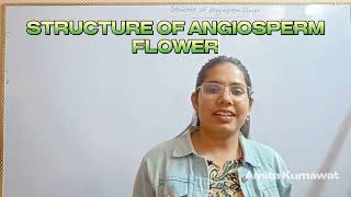 microspore and megaspore of angiospermsbiology neet 2024 neetaspirants amita kumawat [upl. by Notsud]